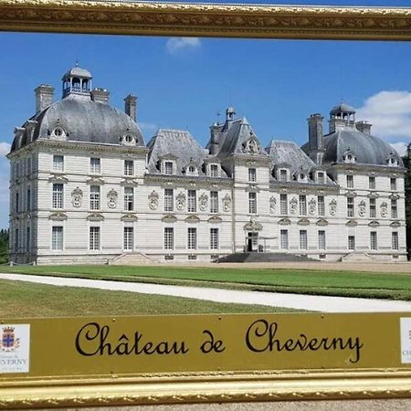 Les Capucines Proche Beauval & Chateaux Saint-Aignan  Bagian luar foto